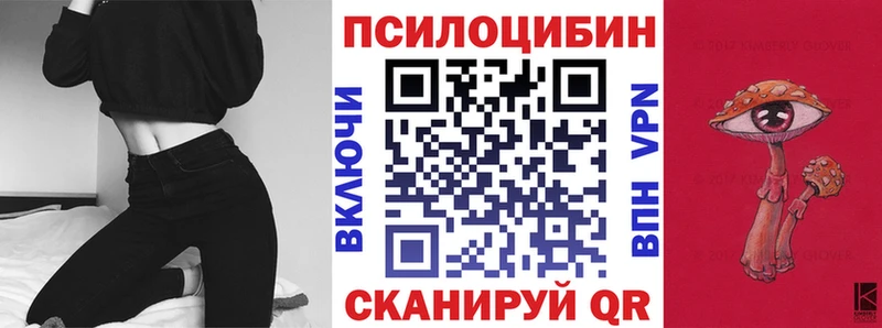 дарнет шоп  Свободный  Галлюциногенные грибы мицелий 
